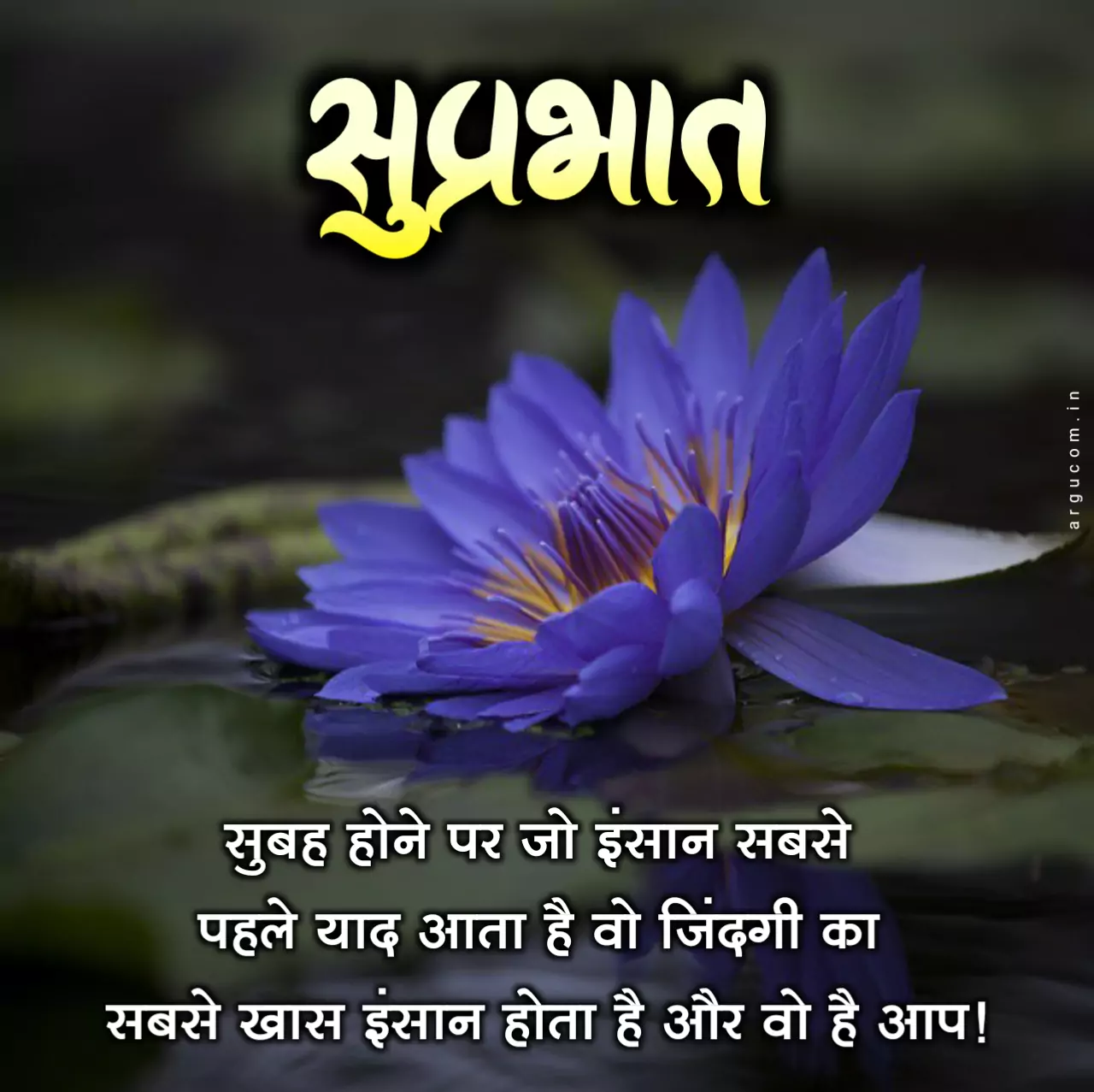 Best good morning quotes in hindi , गुड मॉर्निंग कोट्स हिंदी
