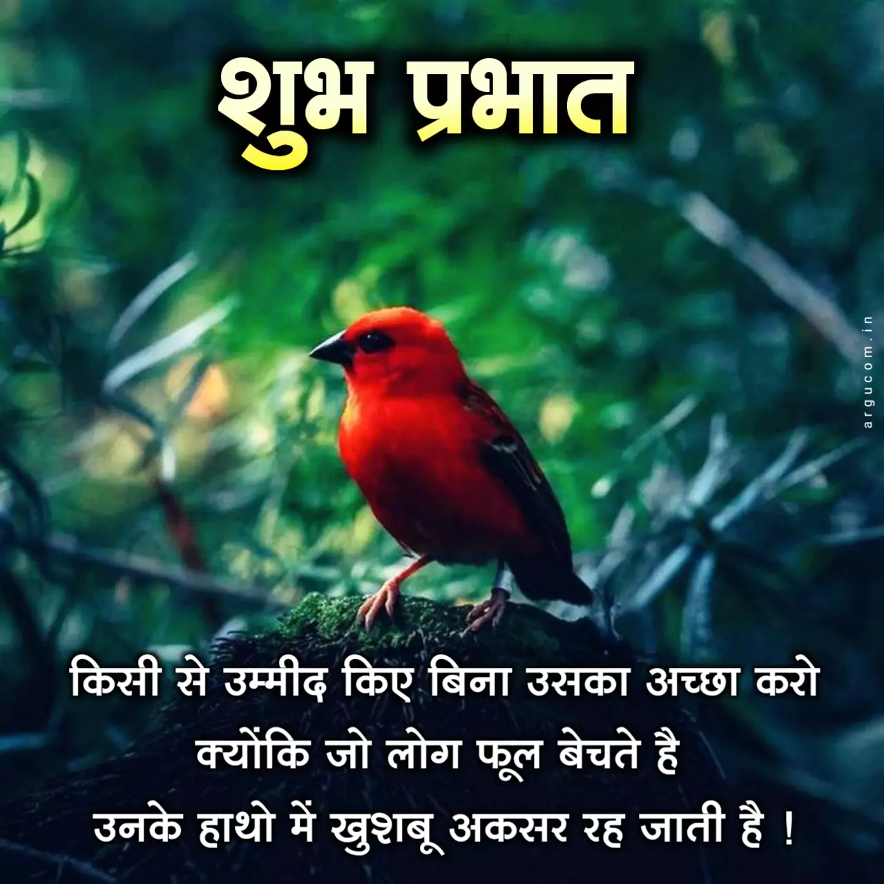 Good Morning Quotes In Hindi Image